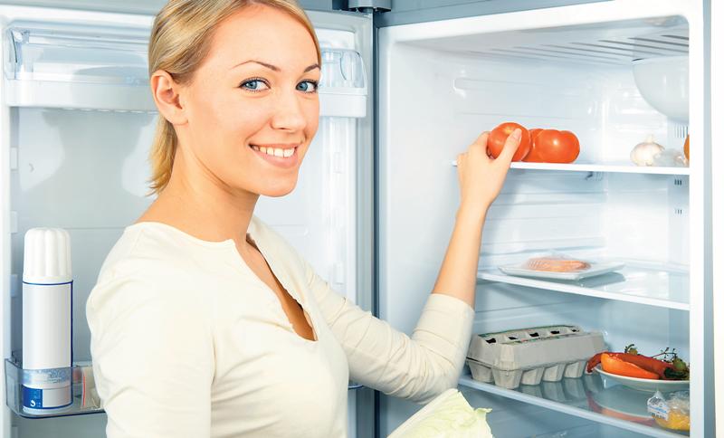 3917-127325-frigider.jpg 3917-127325-frigider.jpg