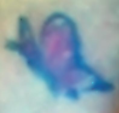 3936-130537-sa.jpg 3936-130537-sa.jpg