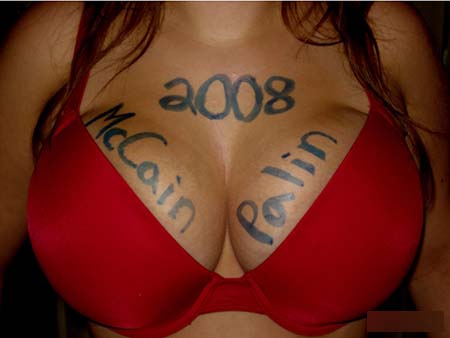 0-93361-mccainpalin2008.jpg