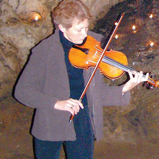 3758-91516-vioara.jpg