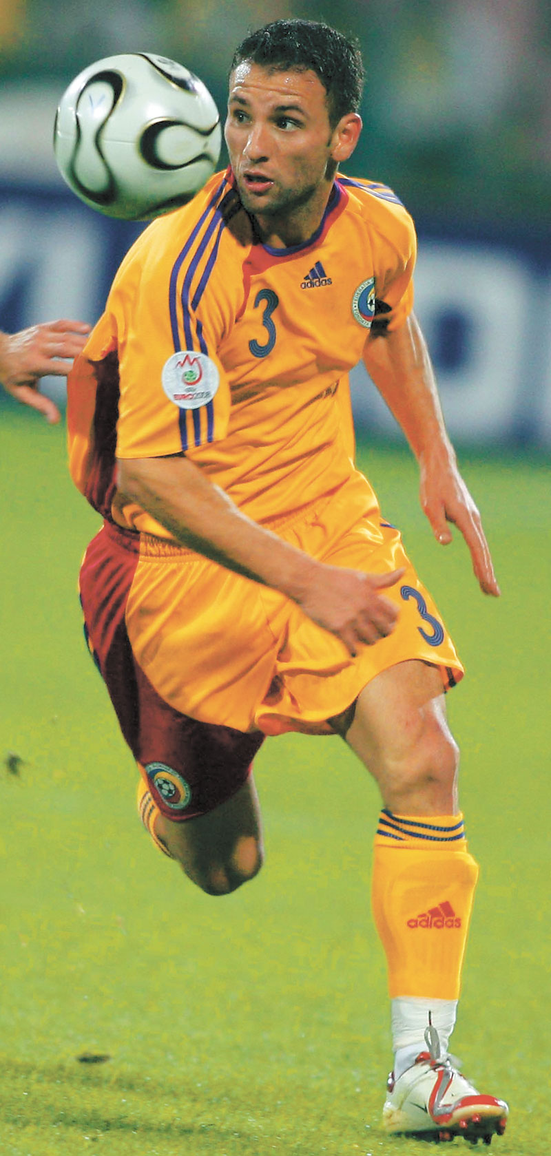 3761-92166-rat.jpg