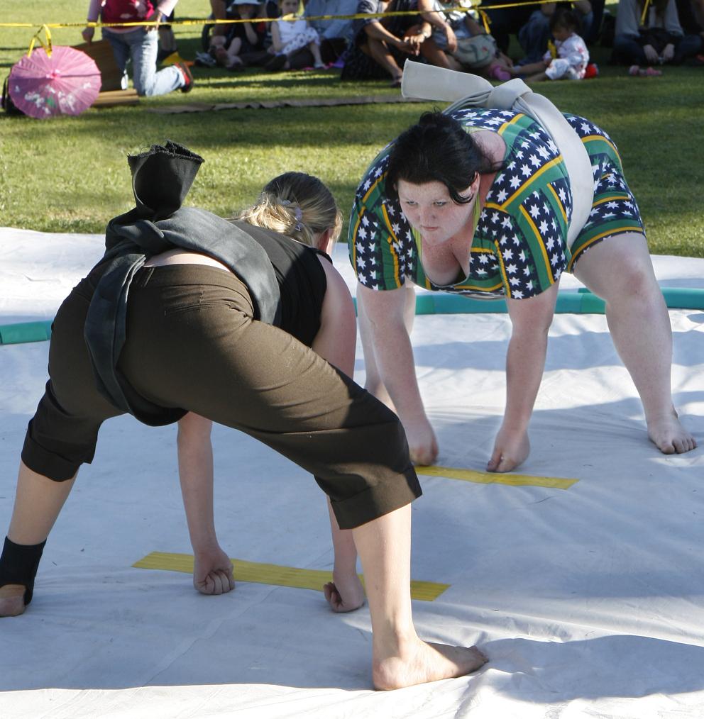 0-96158-sumo2.jpg