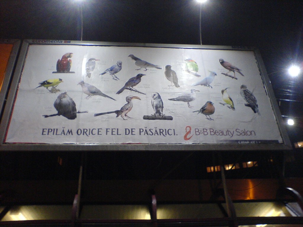 0-97296-beautysalon.jpg 0-97296-beautysalon.jpg