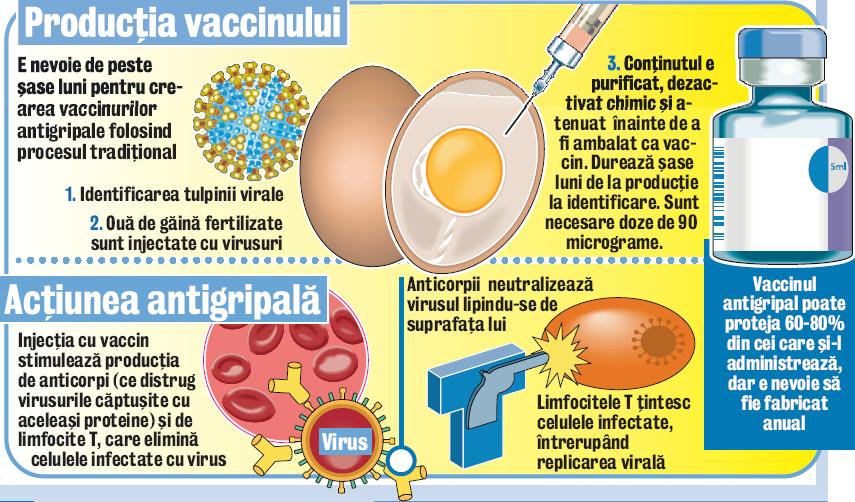 3775-95715-vaccin.jpg