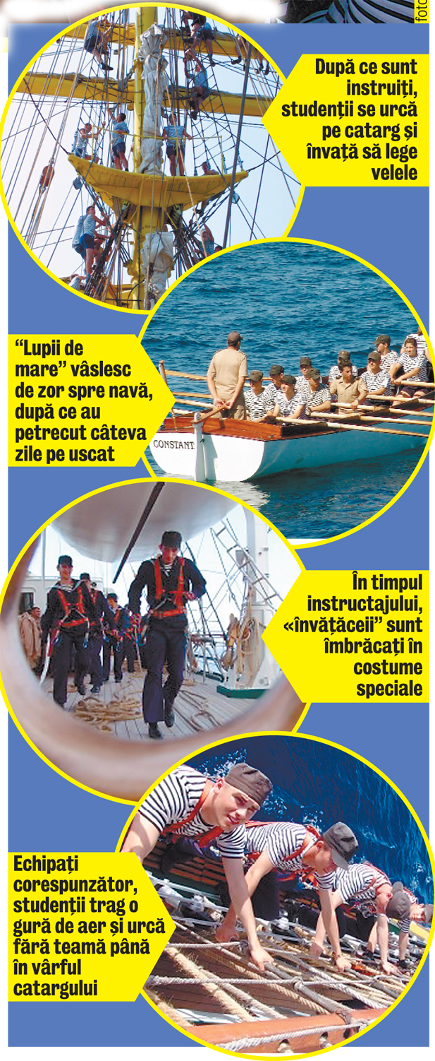 3778-96510-07_5900.jpg 3778-96510-07_5900.jpg