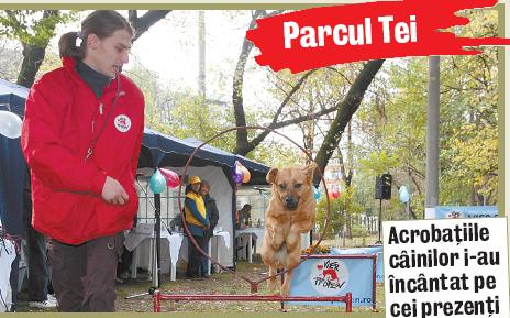 3789-99672-caini.jpg 3789-99672-caini.jpg