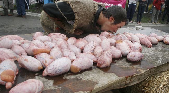 0-103723-testicule.jpg 0-103723-testicule.jpg