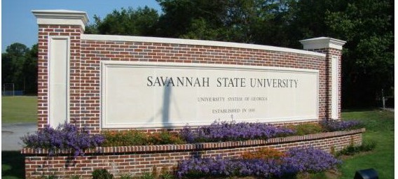 0-107792-savannah.jpg
