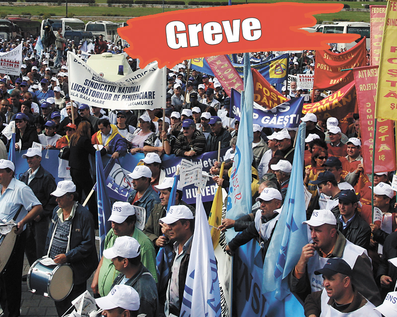 3803-103185-greve.jpg