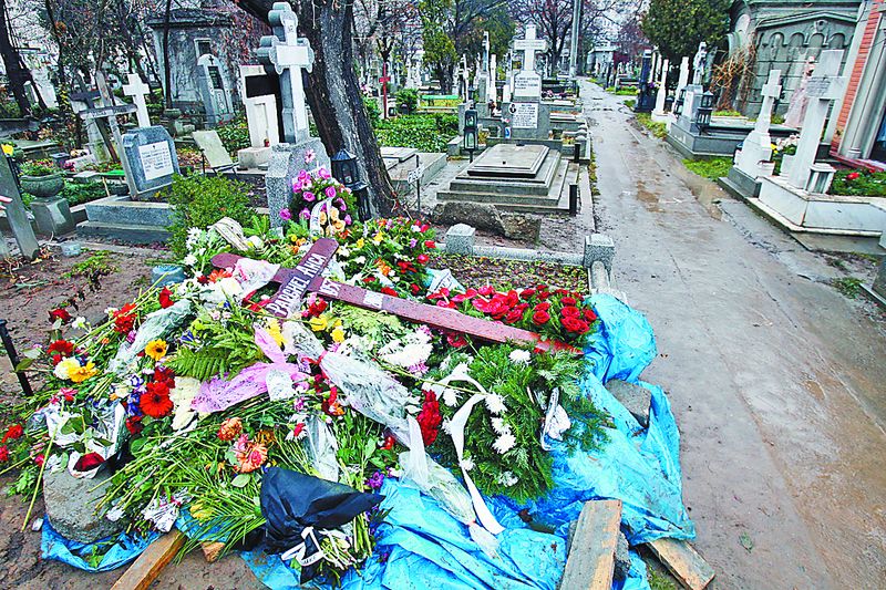 3842-111428-anca.jpg 3842-111428-anca.jpg