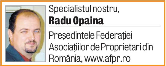 3868-116528-opaina.jpg
