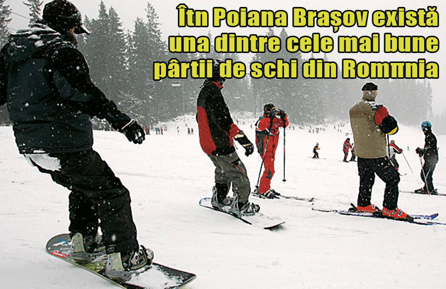 3880-119350-poiana.jpg 3880-119350-poiana.jpg