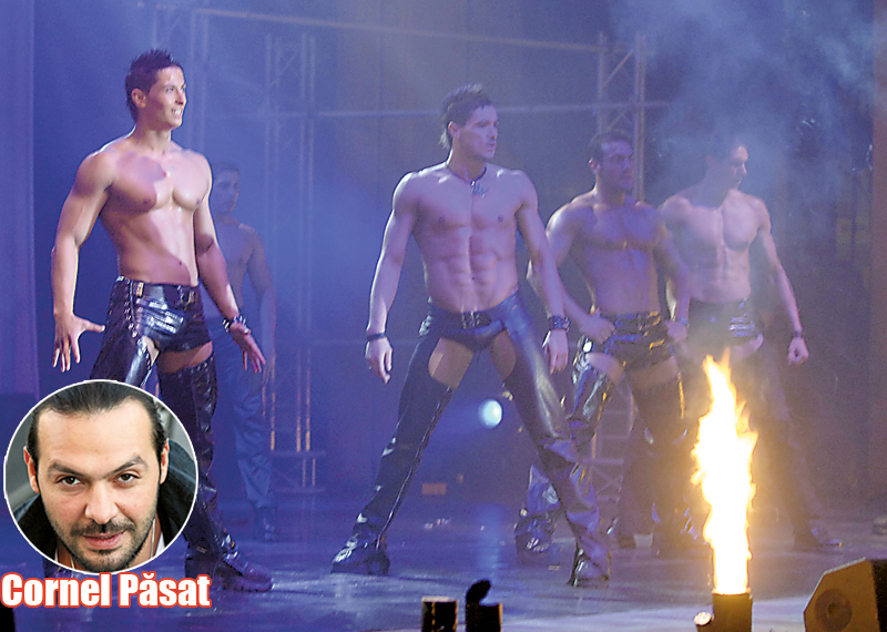 3887-120893-falmingo.jpg 3887-120893-falmingo.jpg