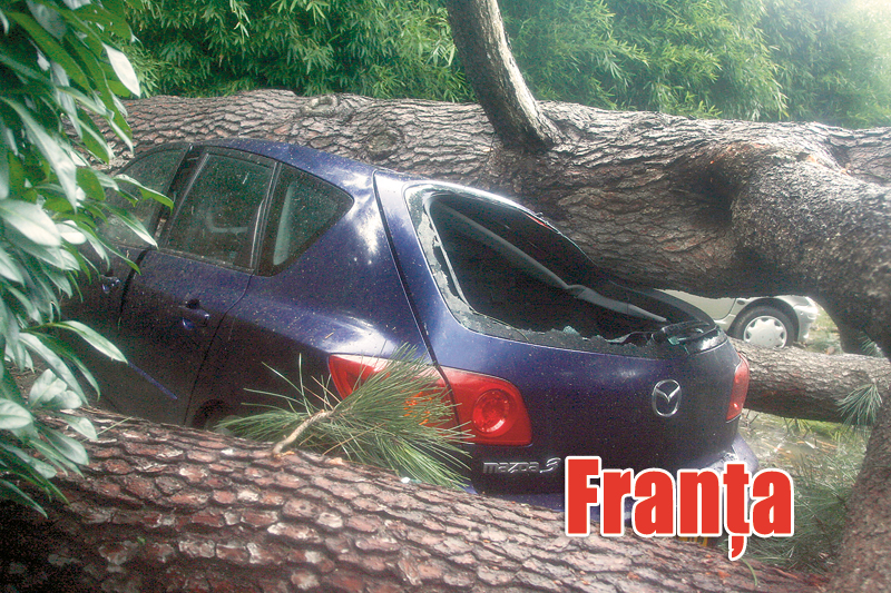 3888-121023-franta.jpg 3888-121023-franta.jpg