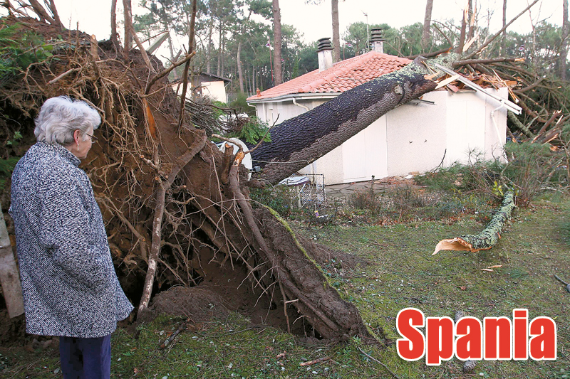 3888-121024-spania.jpg 3888-121024-spania.jpg