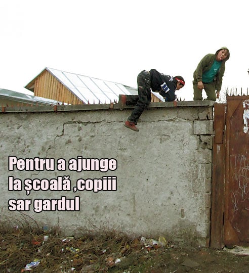 3888-121069-gard.jpg