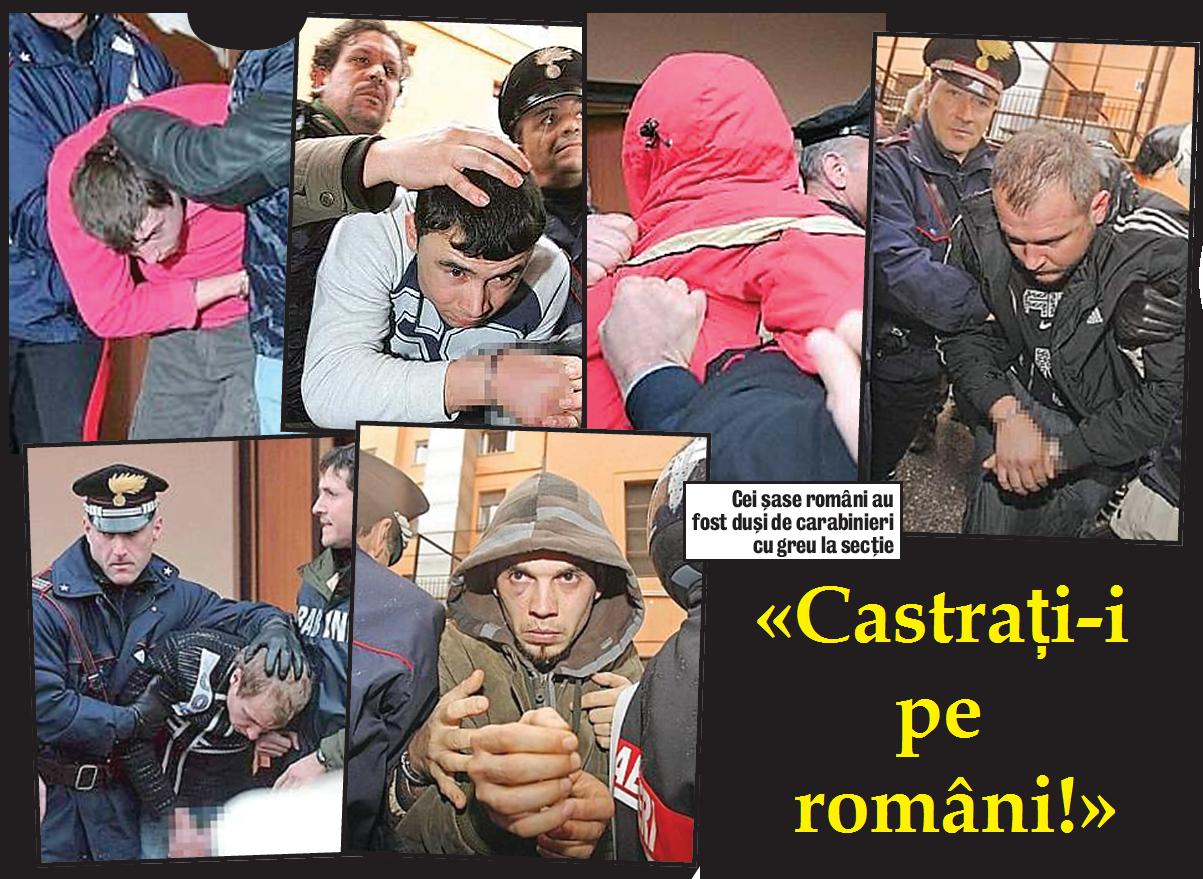 3890-121481-12.jpg 3890-121481-12.jpg