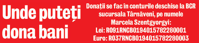 3893-121981-donatii.jpg
