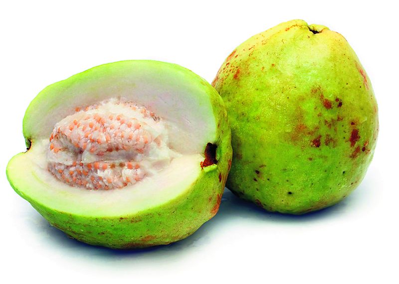3898-122593-guava.jpg