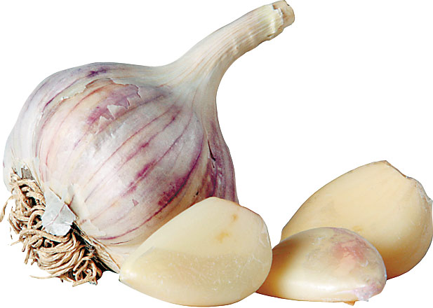 3914-126562-usturoi.jpg