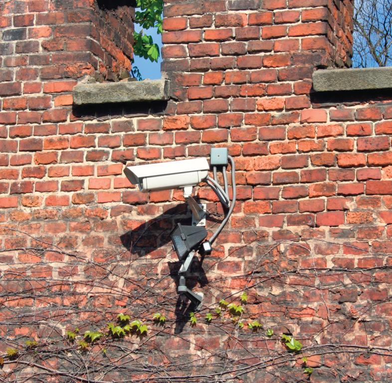 3918-127614-camera.jpg