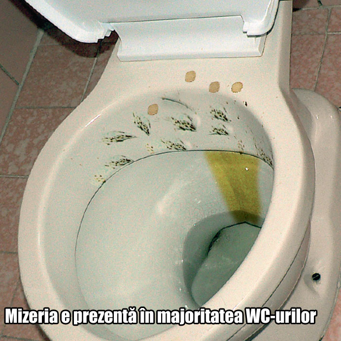 3922-128840-wc2.jpg