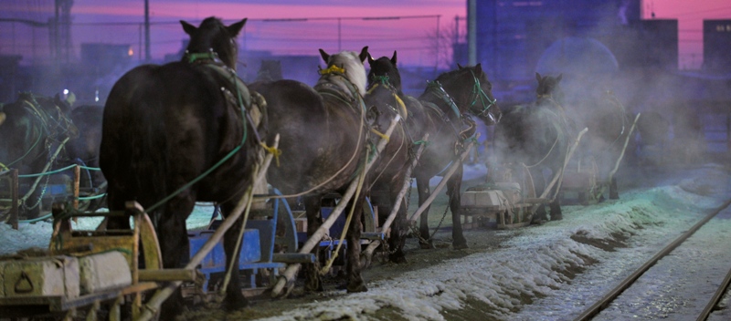 0-131850-cai.jpg 0-131850-cai.jpg