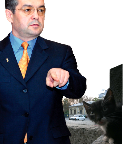 0-134918-pisiboc.jpg