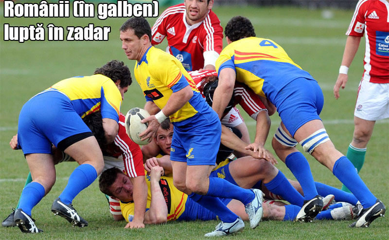 3953-134159-rugby.jpg