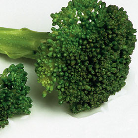 235545_137482_brocoli.jpg