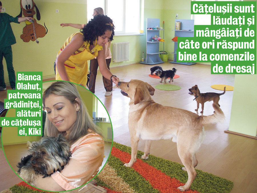 3981-141233-c1.jpg 3981-141233-c1.jpg