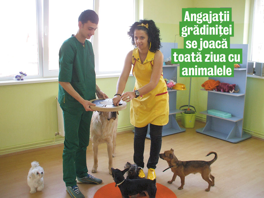 3981-141235-c2.jpg 3981-141235-c2.jpg