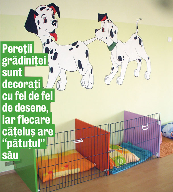 3981-141236-c3.jpg 3981-141236-c3.jpg