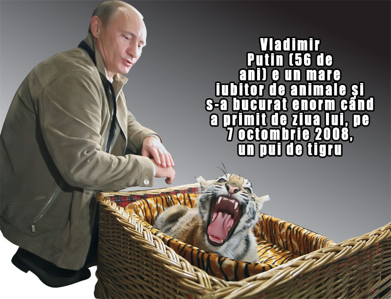 3987-142661-putin.jpg