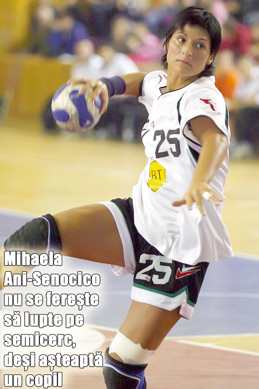 3988-142898-senocico.jpg