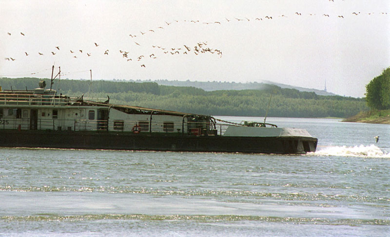 0-149600-dd.jpg