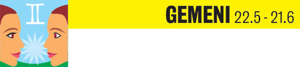 241211_149204_gemeni.jpg