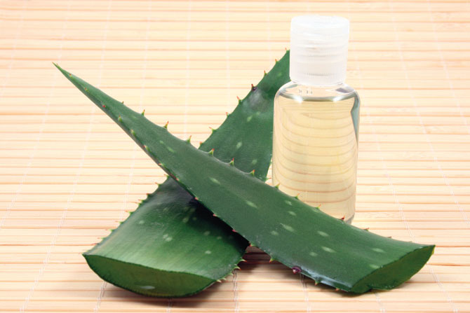 3996-144860-aloevera.jpg