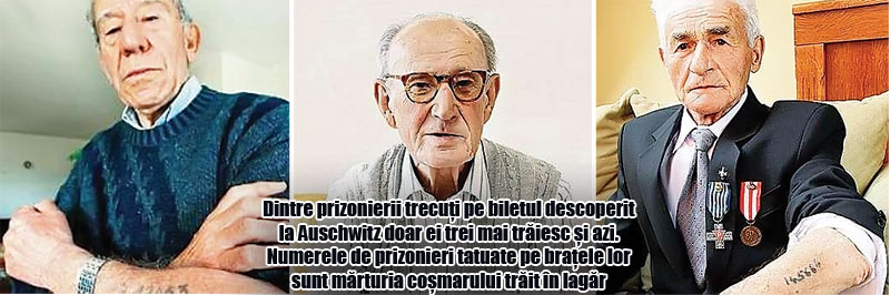 3999-145744-eitrei.jpg 3999-145744-eitrei.jpg