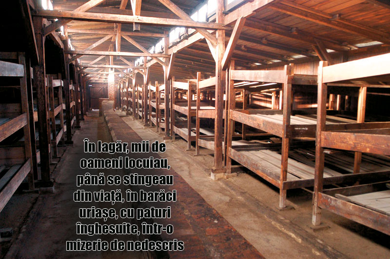 3999-145745-paturi.jpg 3999-145745-paturi.jpg