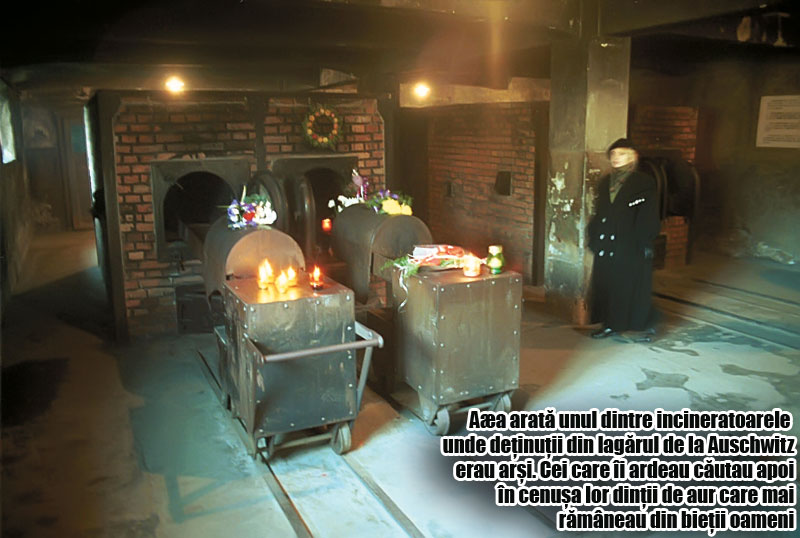 3999-145746-incinerat.jpg 3999-145746-incinerat.jpg
