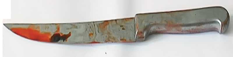 4000-145988-cutit.jpg