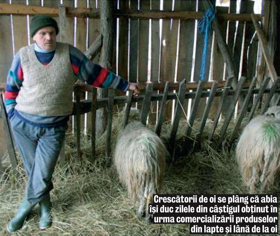 4023-151445-c.jpg 4023-151445-c.jpg