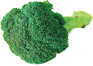 4031-153545-brocoli.jpg