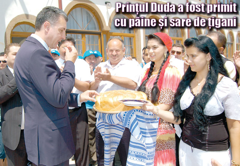 4040-156004-tigani.jpg