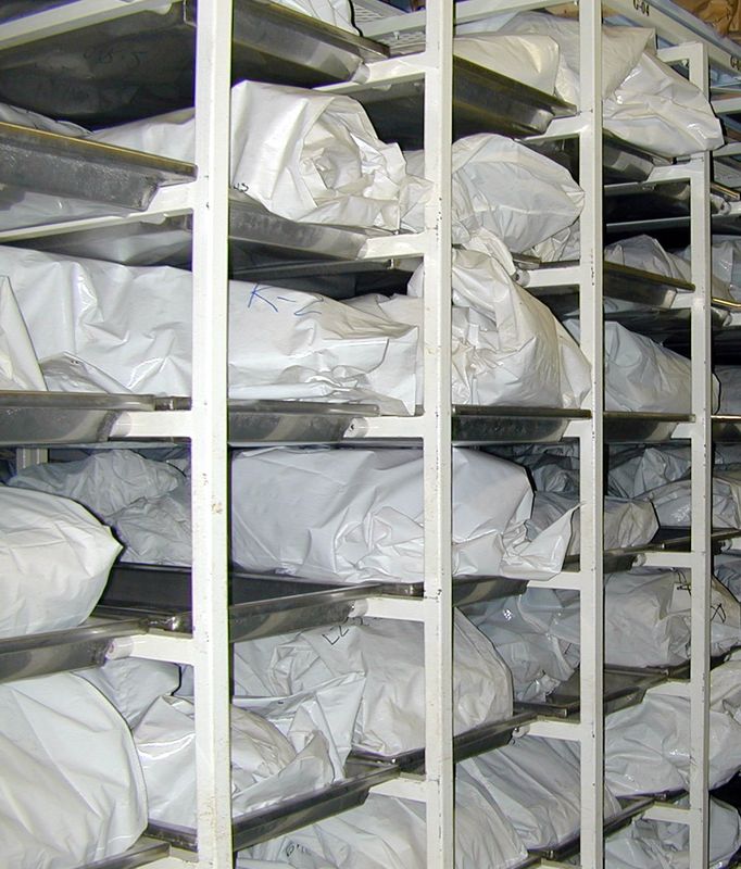 0-161954-cadavre.jpg