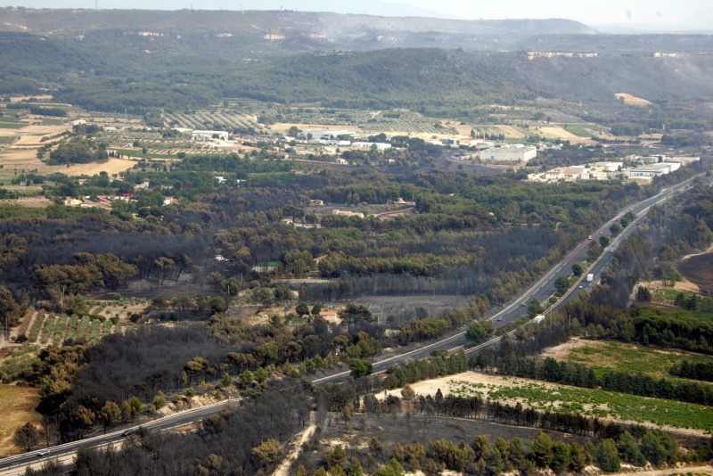 0-166089-marsi.jpg