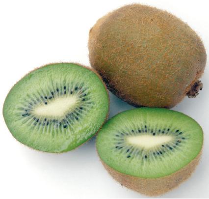 4066-163378-kiwi.jpg