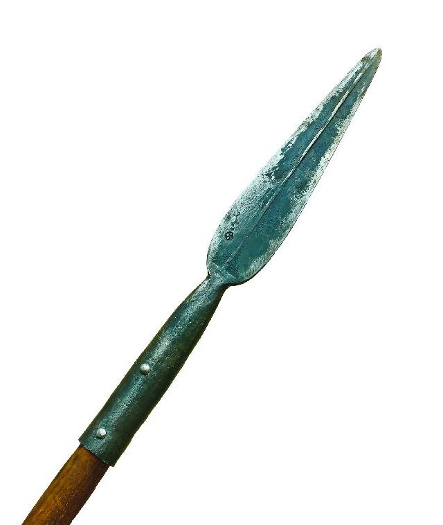 4075-166684-printuscreesulita.jpg