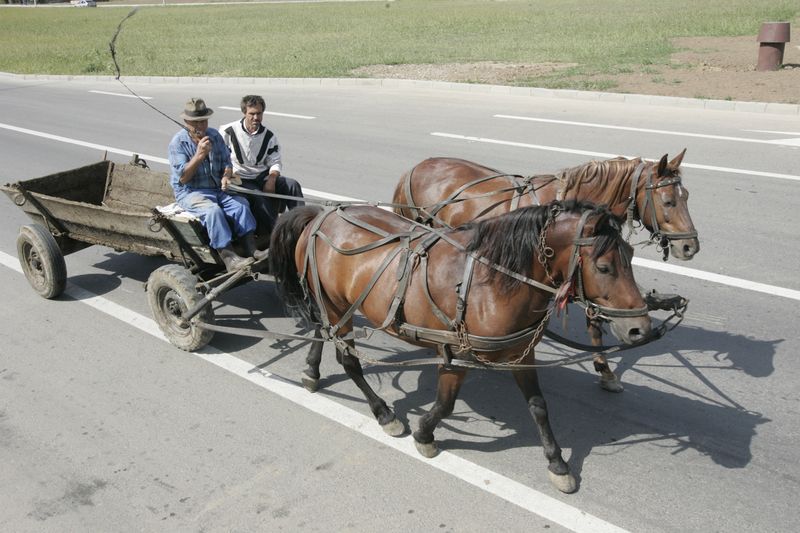 4082-168454-autostradacarutabuna.jpg